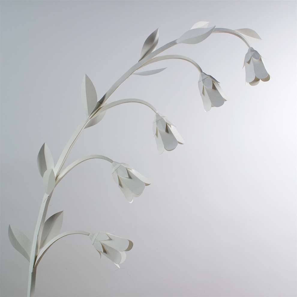 Vera Van Wolferen, Crafted intricate paper sculpture of a plant.