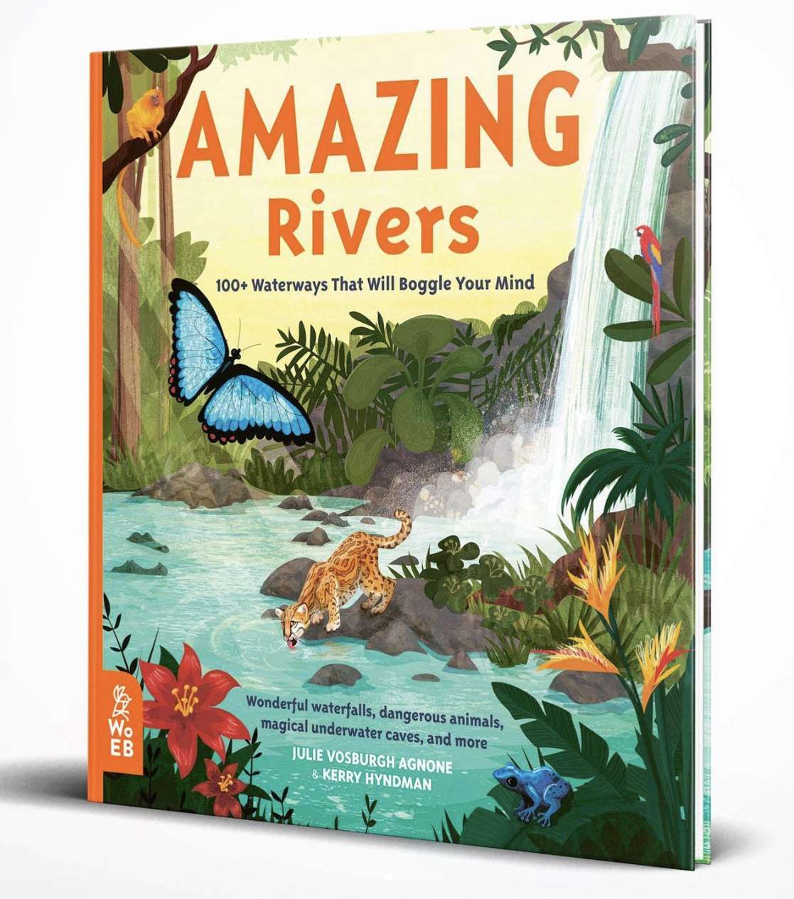 Kerry Hyndman, Amazing Rivers book cover by Kerry Hyndman featuring nature and rivers.