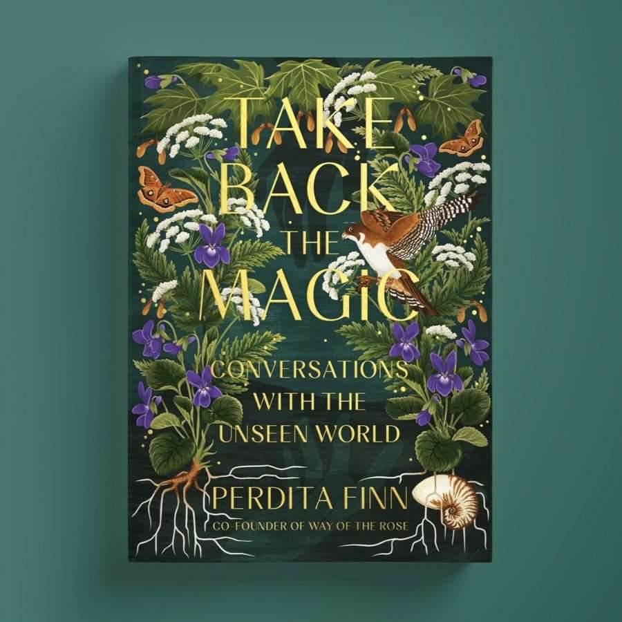Charlotte Day, Charlotte Day's cover art for the novel Take Back The Magic by Perdita Finn.