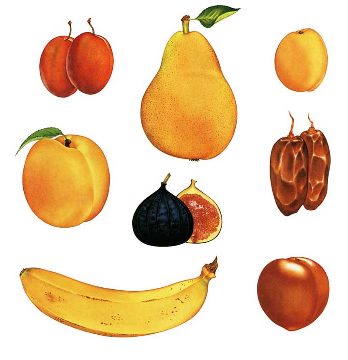 Carol Lawson, Traditional hand-painting fruits 