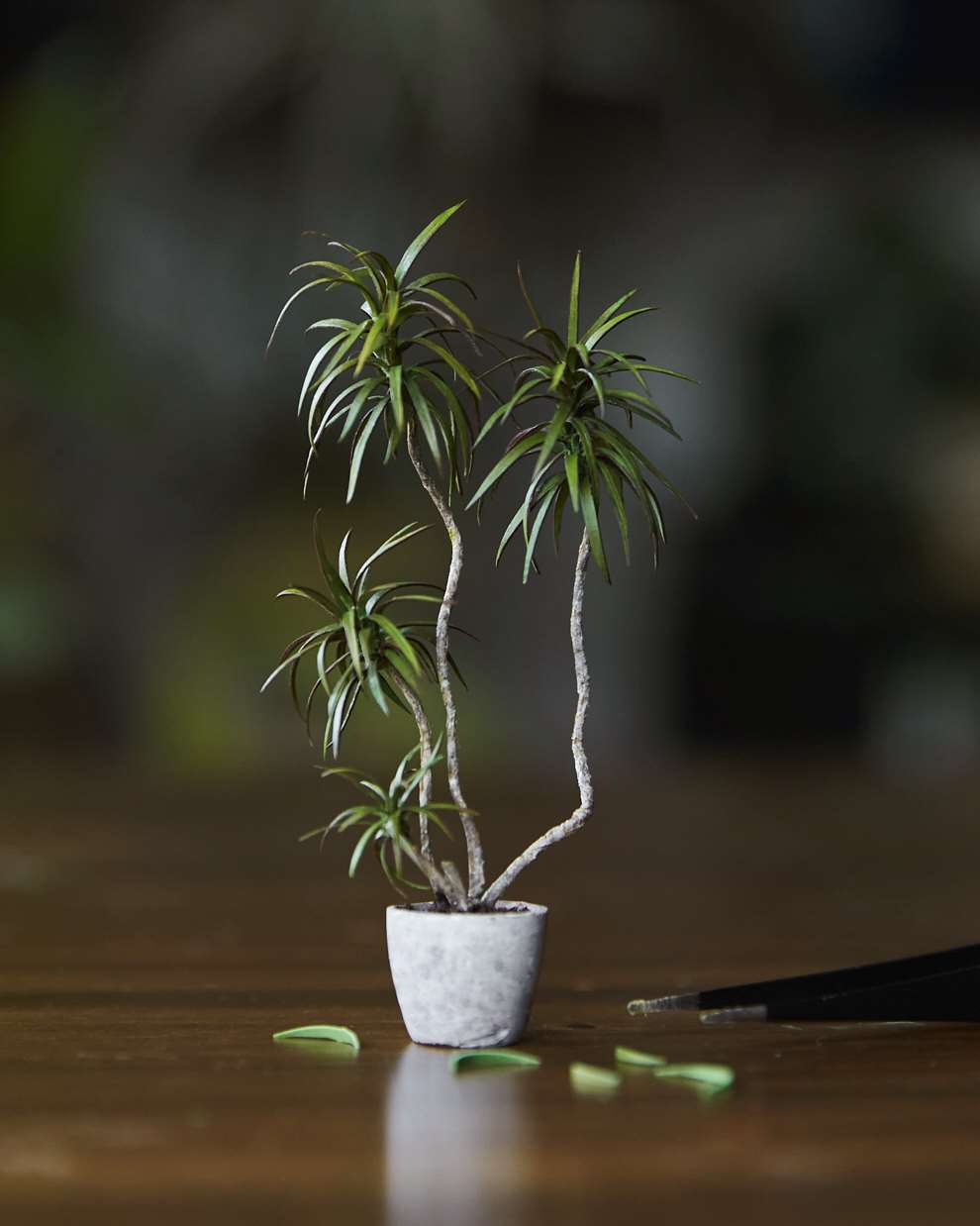 Hannah Lemon, Miniature detailed house plant. Tiny sculpture made from air drying clay, paper, wood, paint, mixed media. 