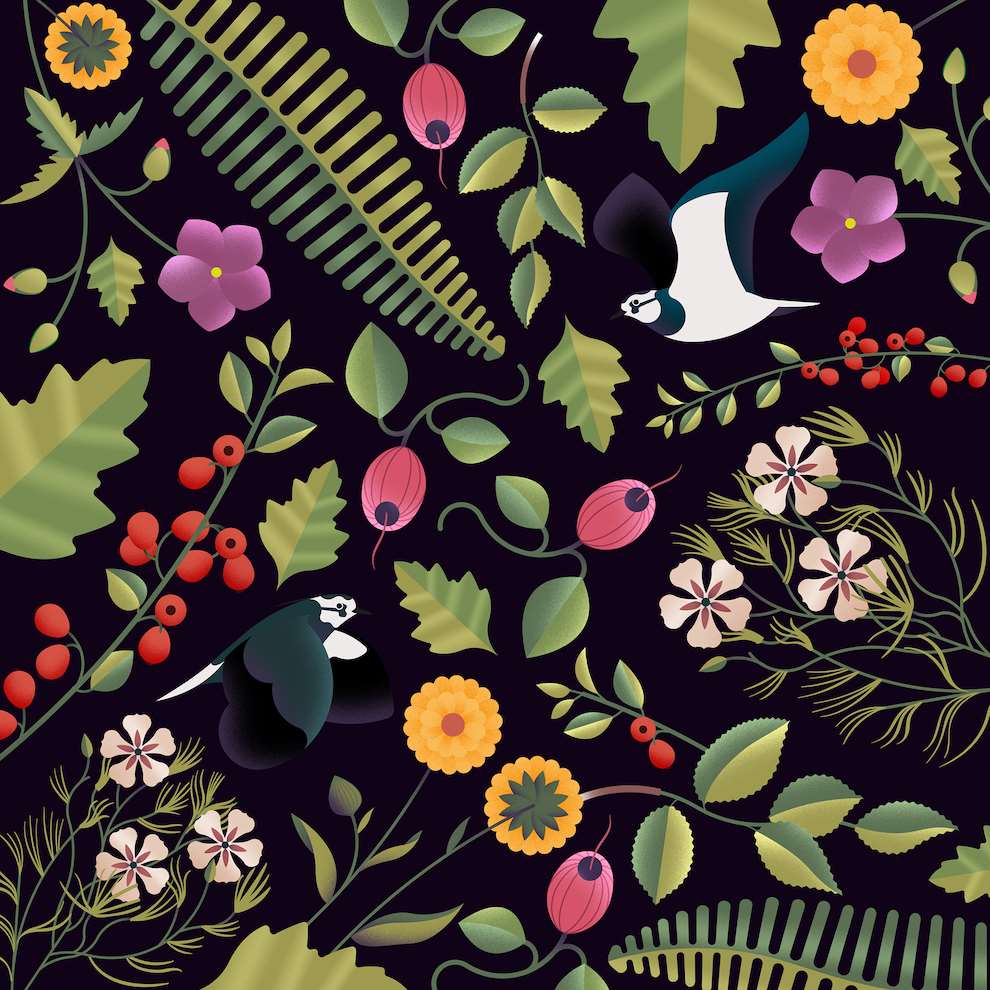 Jack Daly, Digital illustration of textural botanical patterns with two birds