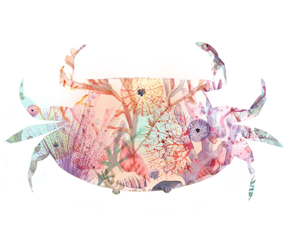 Lesley Buckingham, Watercolour hand painted illustration of a crab with textural loose botanicals inside. 	