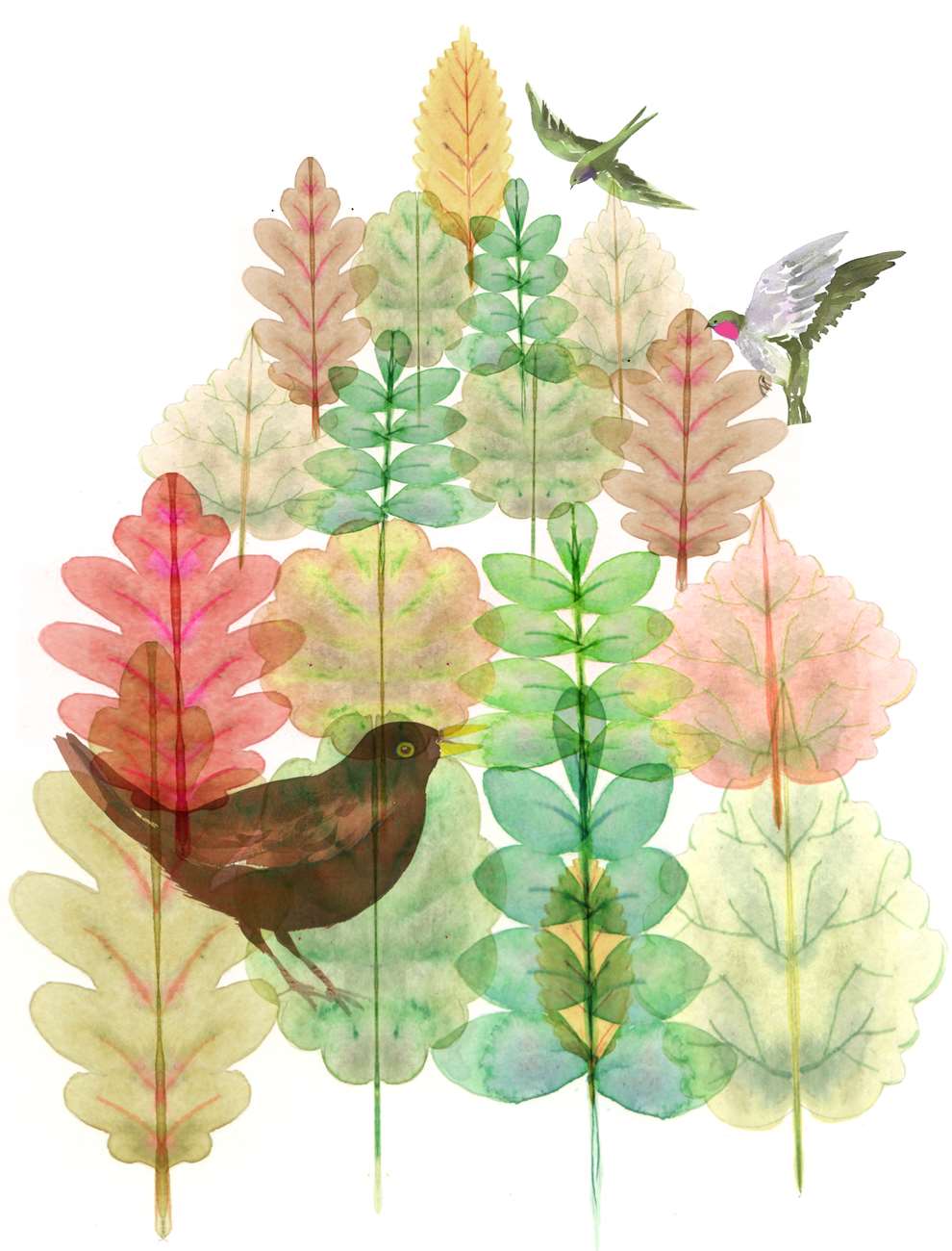 Lesley Buckingham, Watercolour hand painted illustration of trees and birds. 