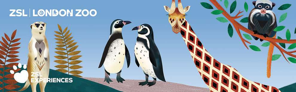 Margaux Carpentier, Illustration for London Zoo experience ticket. Penguin, Giraffe and monkey in the jungle 
