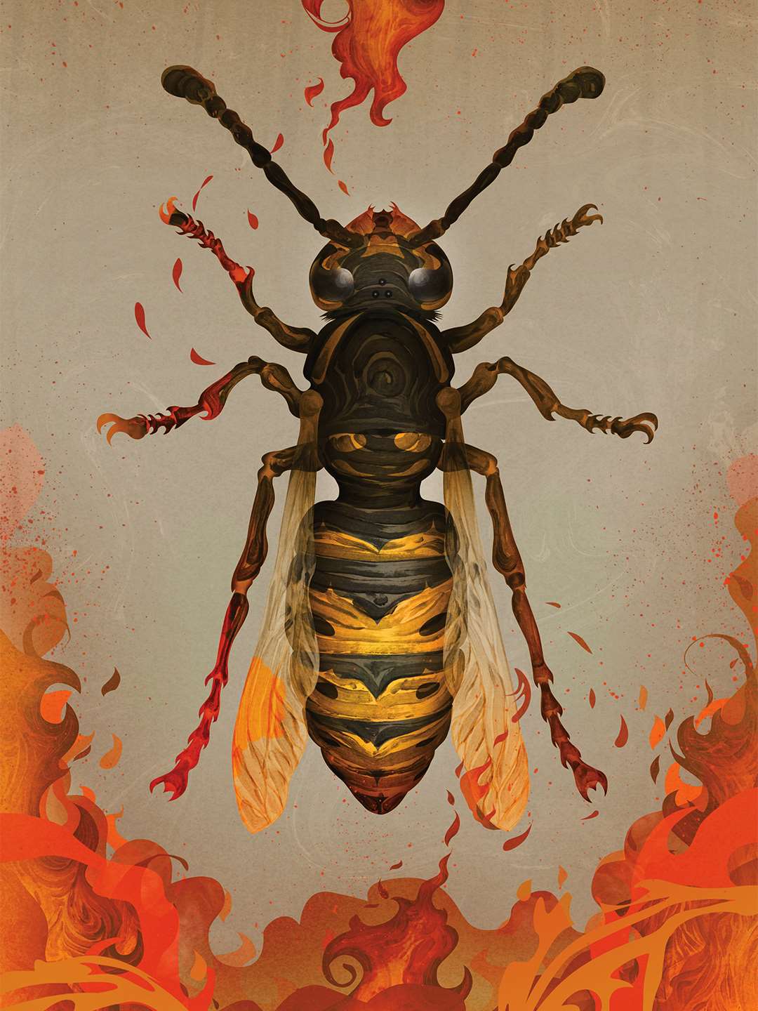 Darren Hopes, Wasp by Darren Hopes.