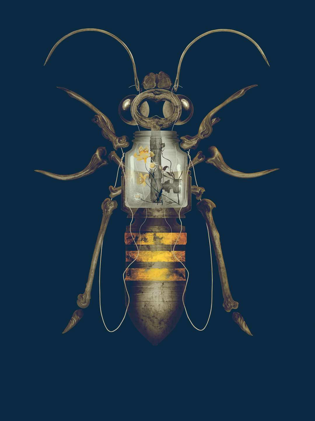 Darren Hopes, Wasp by Darren Hopes.