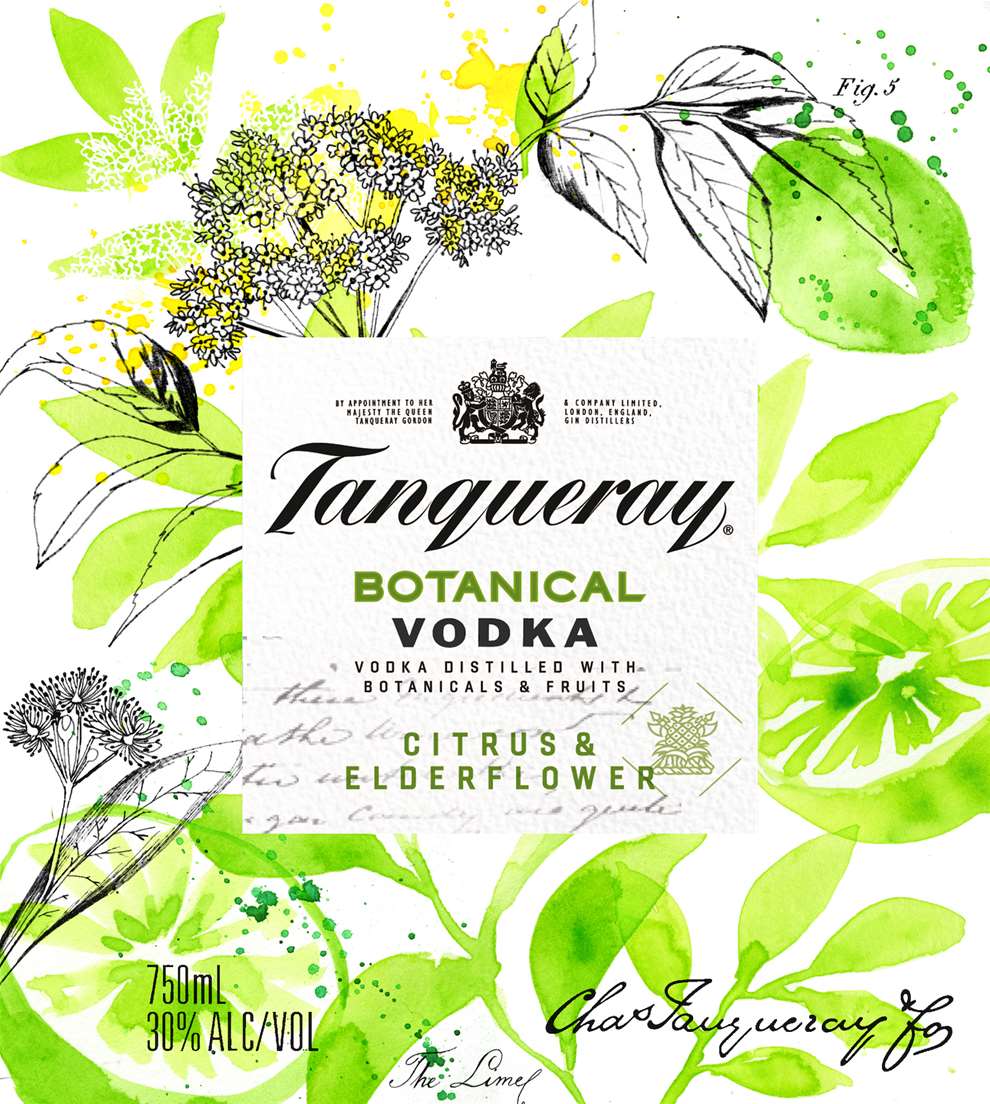 Montse Bernal, Delicate botanical packaging illustration of green citrus fruits for Tanqueray label. 