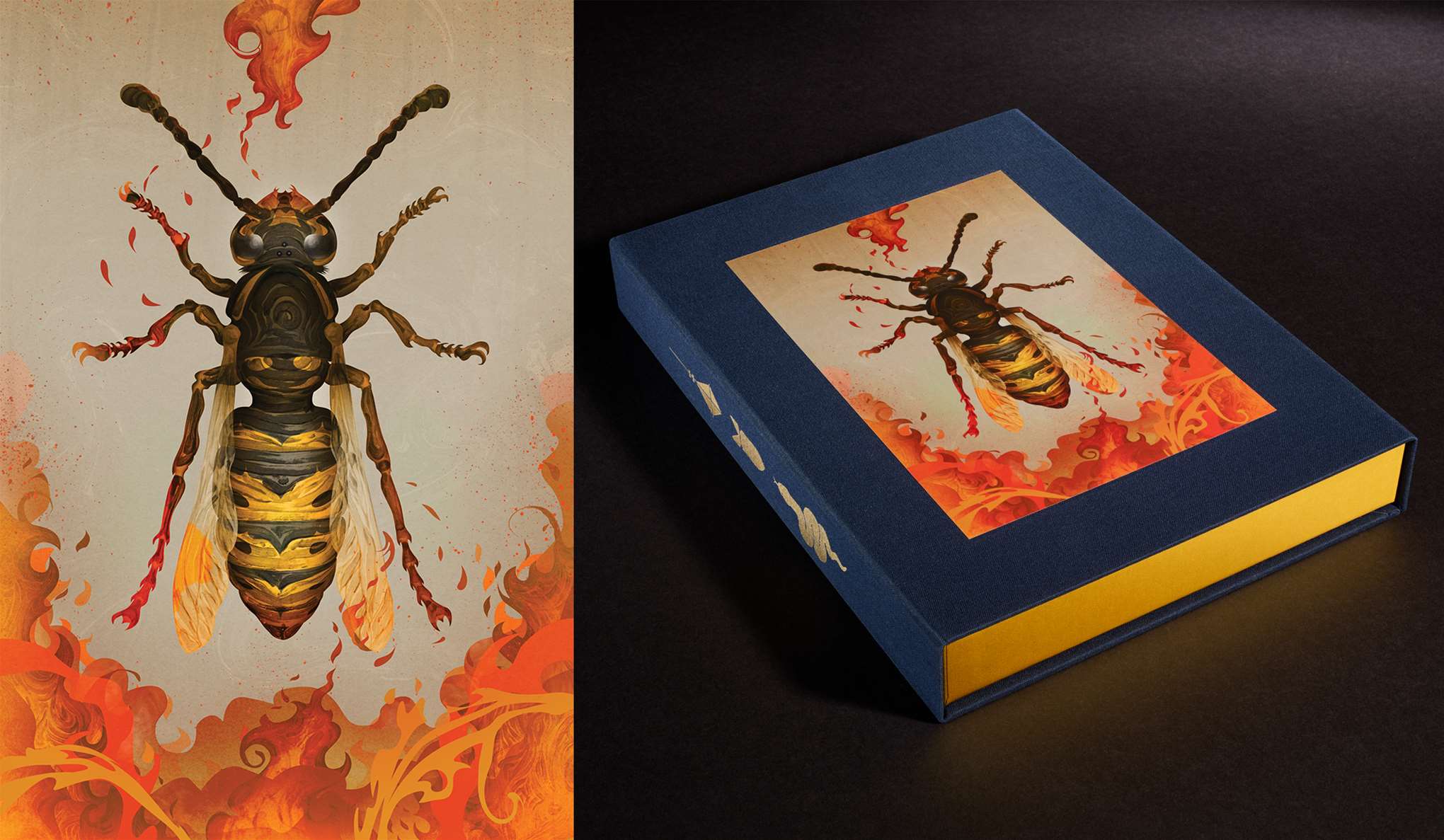 Darren Hopes, Folio Society book The Wasp Factory by Darren Hopes.