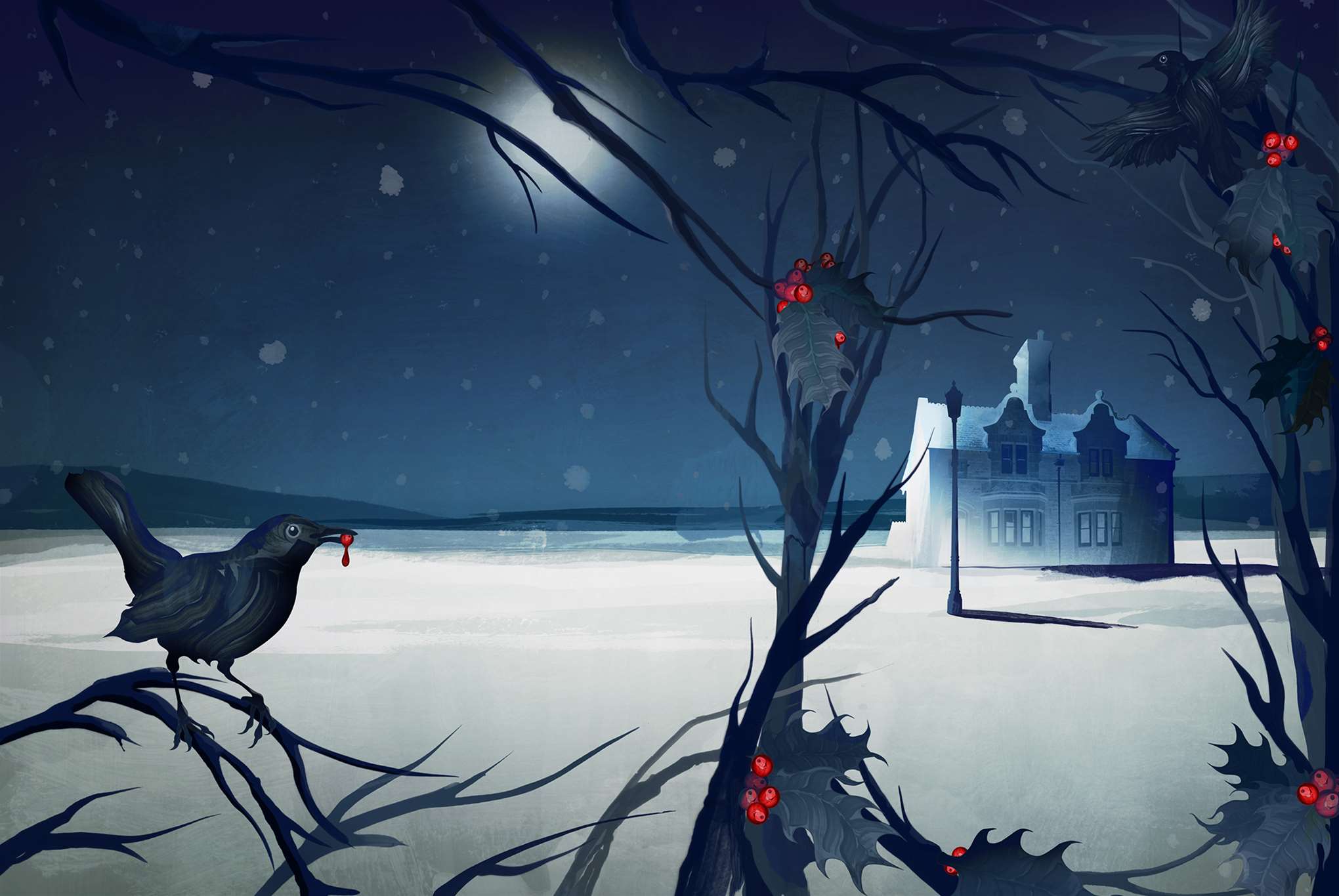 Darren Hopes, Winter scene of a robin and a house by Darren Hopes.