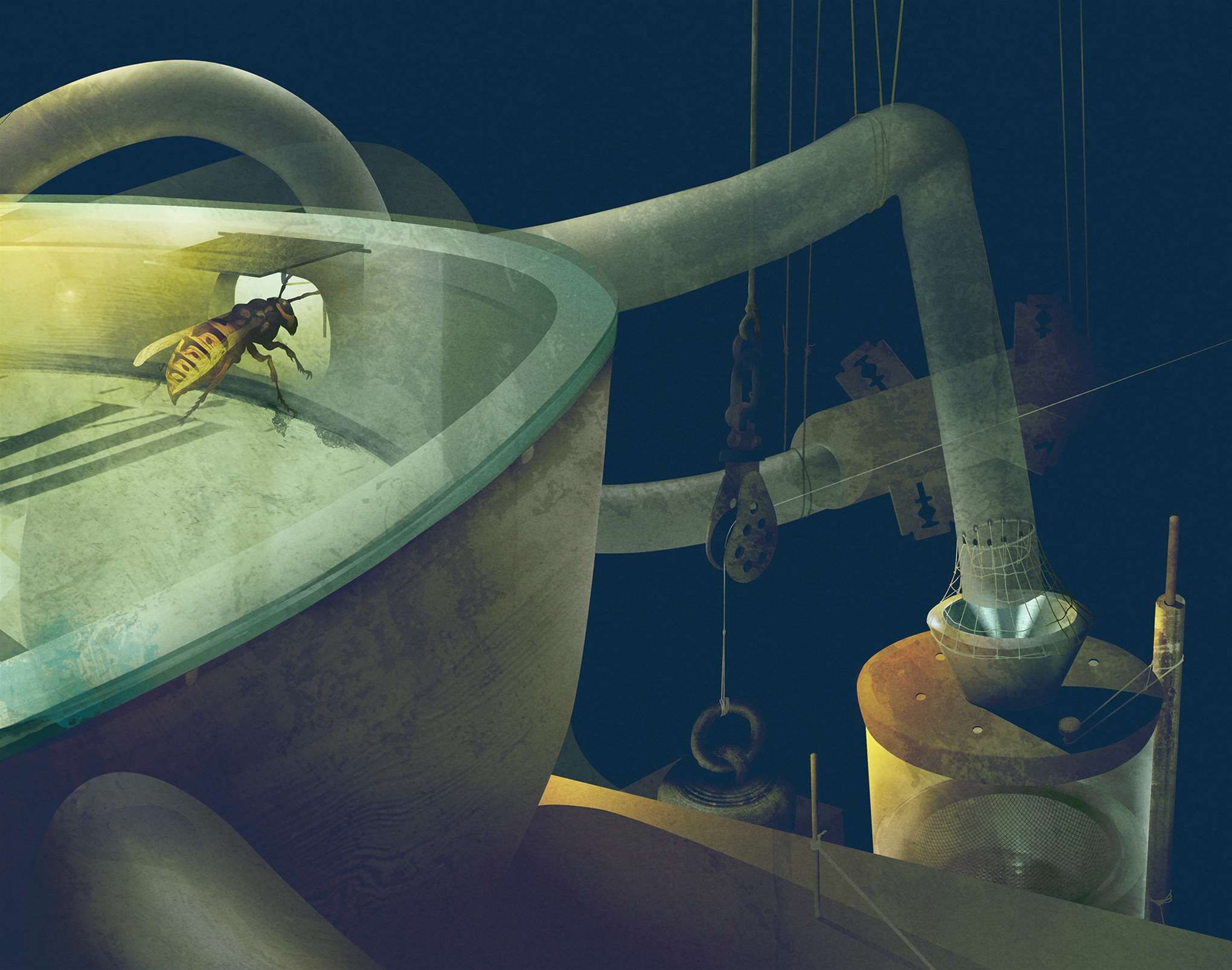 Darren Hopes, Wasp Factory by Darren Hopes.