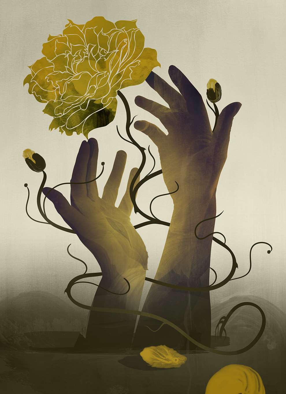 Darren Hopes, Hands by Darren Hopes.