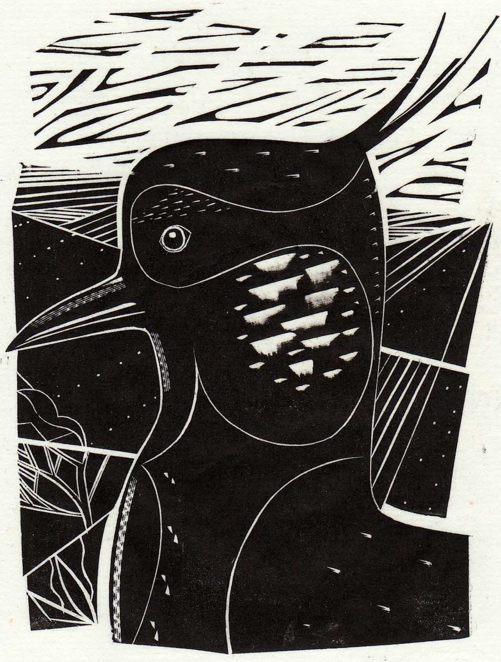 Jonathan Gibbs, Black and white woodcut bird illustration 