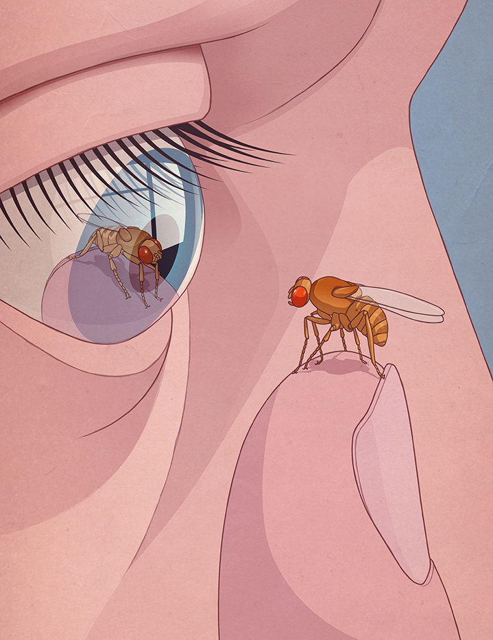 Richard Wilkinson, Hyperrealism medical style illustration of an insect reflected in an eye.