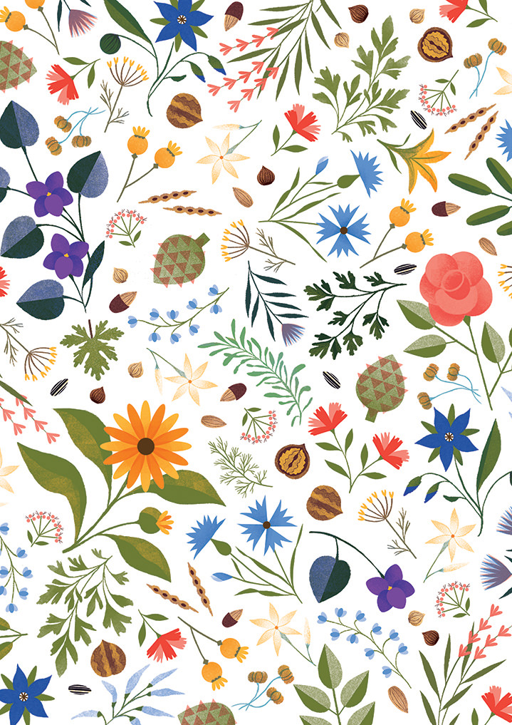 Tatiana Boyko, Tatiana Boyko textural botanical delicate illustration of flowers, seeds and leaves.