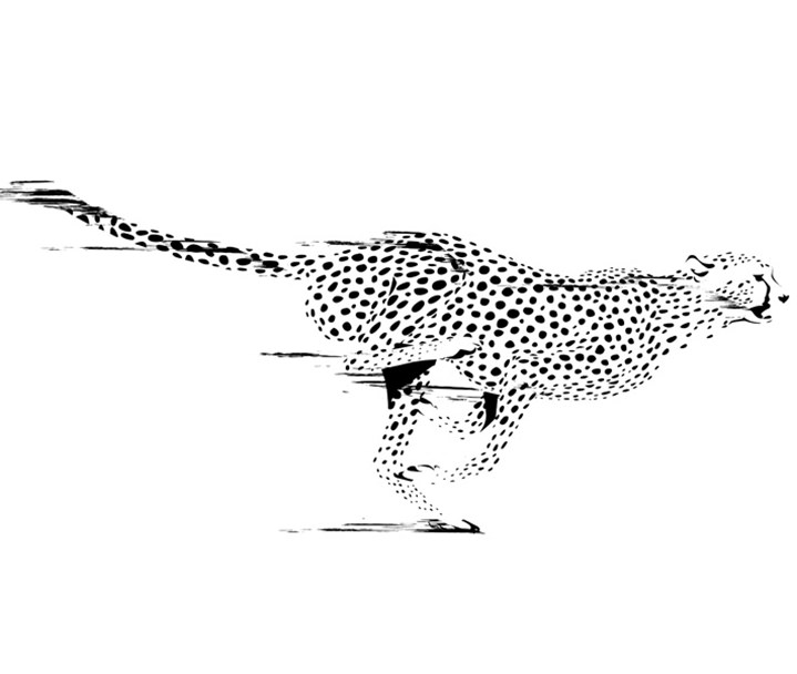 Ulla Puggaard, ulla puggaard cheetah black and white