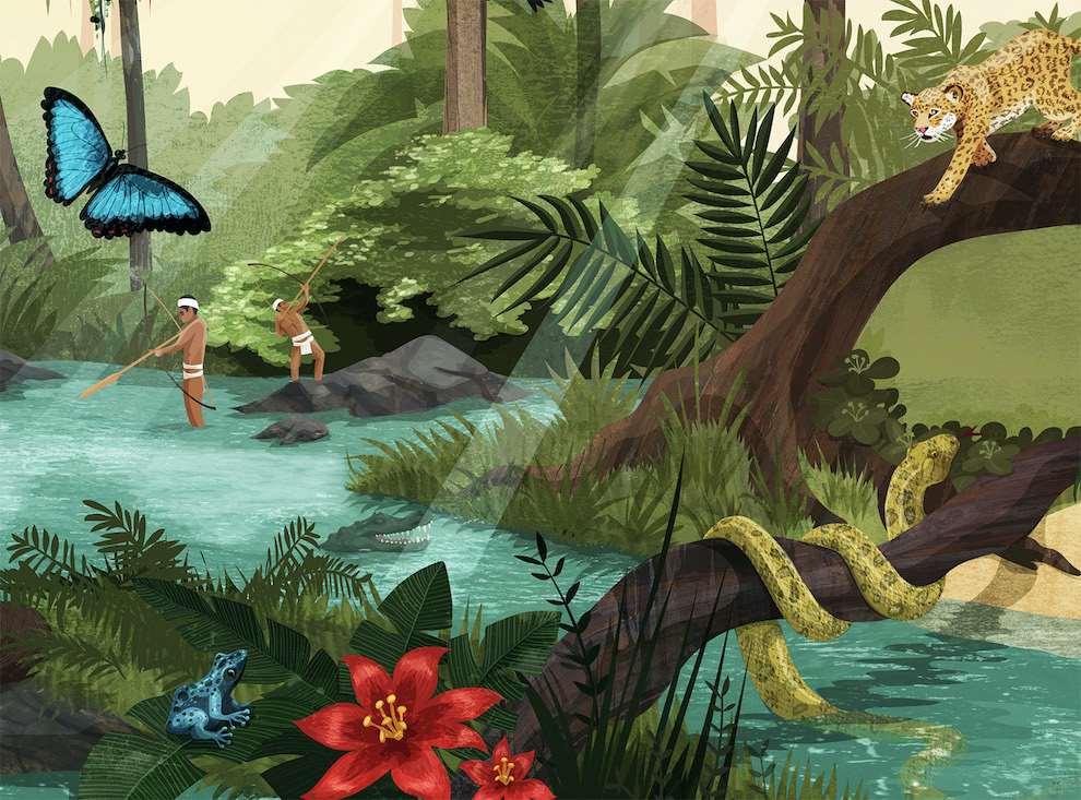 Kerry Hyndman, Textural and digital illustration; jungle scenery