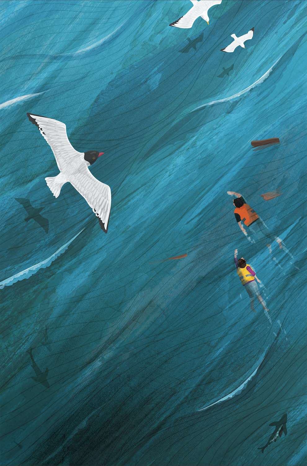 Kerry Hyndman, Kerry Hyndman digital illustration of people swimming in the sea with birds flying above. 